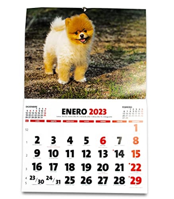Papertrac - Calendario de pared Enero 2023 Diciembre 2023 - 28 páginas - Medidas: 24x32 cm - Animales