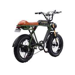 Wonzone ddzxc Bicicletas eléctricas Bicicleta eléctrica Motocicleta eléctrica Doble batería Marco de aleación de aluminio Bicicleta de montaña eléctri en oferta
