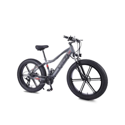 Wonzone ddzxc Bicicletas Eléctricas Pulgadas Bicicleta Eléctrica Playa Neumático Grasa Batería Oculta Velocidad del Motor Sin Escobillas (Tamaño : Gra en oferta