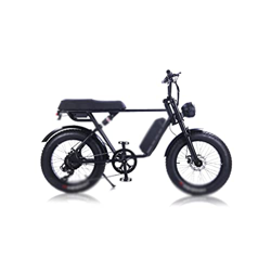 Wonzone ddzxc Bicicletas eléctricas de acero al carbono bicicleta eléctrica de playa bicicleta de nieve eléctrica bicicleta grasa precio