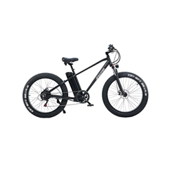 Wonzone ddzxc bicicletas eléctricas aleación de aluminio bicicleta eléctrica 4.0 neumáticos cinco engranajes freno de disco mecánico características