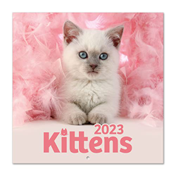 Calendario gatos Somin K. & Greg C. 2023 - Calendario 2023 pared con certificado FSC - Calendario mensual 30x30cm - Producto con licencia oficial características