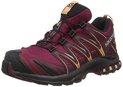 SALOMON XA Pro 3D GTX W, Zapatillas de Running Mujer, Rhododendron/Winetasting/Cantaloupe, 37 1/3 EU
