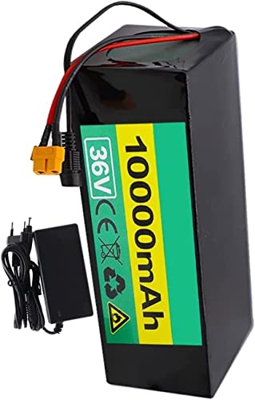 CNPRAZ Bateria para Bicicleta Electrica 36V 10Ah Bateria para Kit Bici Electrica Compatible con Motores De 200W 250W 350W 500W 750W con Cargador + BMS