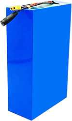 CNPRAZ Batería De Bicicleta Eléctrica 24V 36V 48V Batería De Iones De Litio De 10AH 12AH 15AH 20AH 30AH para 200W 250W 350W 450W 500W 750W1000W Motor  características