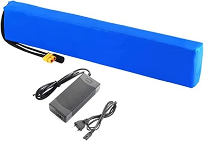 CNPRAZ 36V 10AH Batería De Bicicleta Eléctrica, Batería De Litio con Cargador Ebike Batería, para Motor De 500W 450W 350W 250W 200W 100W, 36V Batería 