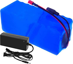 CNPRAZ Batería De Bicicleta Eléctrica Pedelec 36V 30Ah 700W con Cargador 2A, Adecuada para Motores De 36V 200W/250W/350W/500W/700W, Batería De Iones D precio