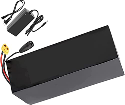 CNPRAZ Bicicleta Eléctrica Batería De Litio 36V 8Ah con BMS + Cargador, para Motor De 200W 250W 300W 350W 400W 450W 500W 36V 8Ah,XT60 precio