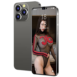 OYhmc i14proMax Teléfono Inteligente Barato y Agradable ROM de 8GB 32MP + 50MP Cámara de 48MP Batería de 7800mAh Android 12 Ten-Core Dual SIM/GPS/Face precio