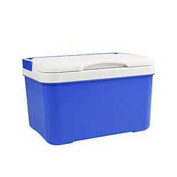 Mini Fridge Car Refrigerator Box Incubator No Power Needed Easy To Use 6L Capacity Freezer Incubator Compatible with Outdoor Vehicle Daily Use A50 en oferta