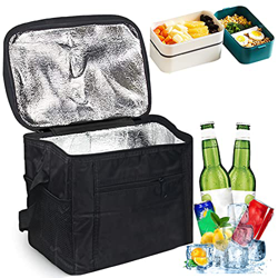 Nevera Bolsa 10L,Bolsa Térmica Plegable,Bolsas De Picnic,Bolsa Isotermica Camping,Bolsas Térmicas Almuerzo, Bolsa Comida Térmica,Bolsa Refrigeradora p precio