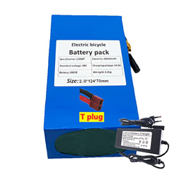 Batería De Litio para Bicicleta Eléctrica De 48 V Y 38 Ah con Cargador De 54,6 V Y 2 A, Batería De Bicicleta Eléctrica Paralela De 13 Series 6 Adecuad en oferta