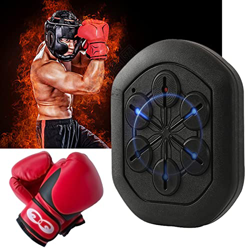 DOZPAL Máquina de Boxeo Musical montada en la Pared, Equipo de Entrenamiento de Boxeo doméstico con Guantes de Boxeo para niños y Adultos, instalación precio