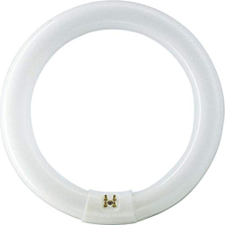Tubo master tl-e circular 40w/840 28474715 características