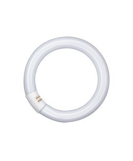 Osram LUMILUX - Lámpara (32 W, T9, G10q, 2250 lm, 9000 h, 2700 K)