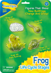 Insect Lore Frog Life Cycle Stages características