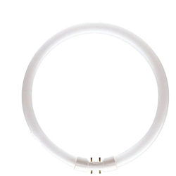 Bombilla fluor. circular 2GX13 55W 840 Master TL5 precio