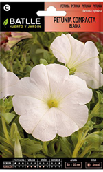 Semillas Batlle Petunia compacta Blanca características