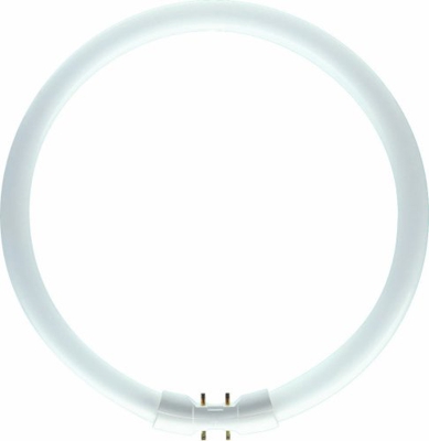 Bombilla fluor. circular 2GX13 60W 830 Master TL5