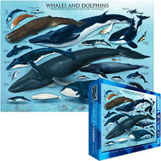 Eurographics Puzzles Whales and Dolphins precio