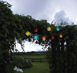 Best Season 477-14 precio