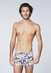 Chiemsee Swim Shorts Pink/Medium Blu (2051702) en oferta