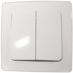 Interruptor doble empotrable 10 A/250 V Electro Dh 36.535/DI/B, color blanco, 84 precio