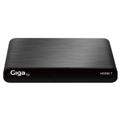 Sintonizador GigaTV HD250 T USB precio