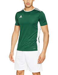 adidas Entrada 18 JSY T-Shirt, Hombre, Verde (Collegiate Green/White), 2XL en oferta