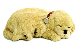 CD3 Perfect Petzzz - Golden Retriever Puppy características