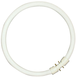 Bomb. fluoresc. circ. 2GX13 T5 22W, blanco univ. precio
