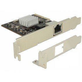 DeLock 10Gb Ethernet PCI Express Card (89654)