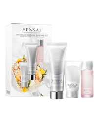 Kanebo Silky Purifying Day Cream Morning Skincare Set características