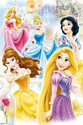 Poster Disney Princess-Grupo en oferta
