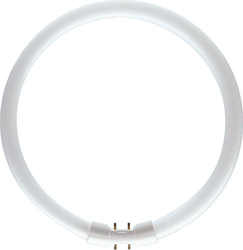 Philips MASTER TL5 Circular 22W/840 precio