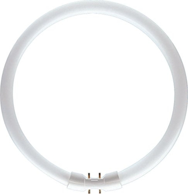 Philips MASTER TL5 Circular 22W/840