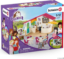 42519, Escenario características