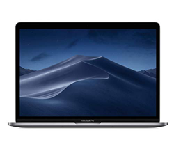 Apple MacBook Pro Core i5 / Iris Plus / 8GB / 256GB SSD / 13.3' / Gris Espacial - Portátil características