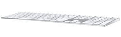 Ver Apple MQ052Z/A Magic Keyboard with Numeric Keypad - Keyboard - QWERTY - Silver y sus características Apple MQ052Z/A Magic Keyboard with Numeric Keypad - Keyboard - QWERTY - Silver precio