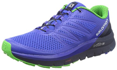 Salomon Sense Pro Max surf the web/navy blazer/classic green