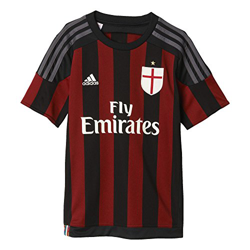 adidas AC Milan Home Camiseta, Hombre, Negro/Rojo/Blanco/Granito, 176 características