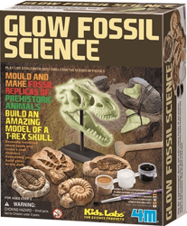 4M Glow Fossil Science características