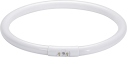Paulmann Fluorescent Lamp Ring Shape T5 Warm Tone extra 22W 2GX13 225mm en oferta