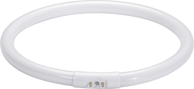 Paulmann Fluorescent Lamp Ring Shape T5 Warm Tone extra 22W 2GX13 225mm