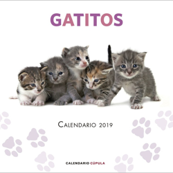 Calendario gatitos 2019 precio