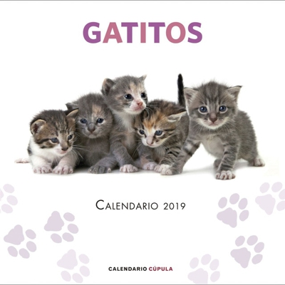 Calendario gatitos 2019