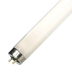 Lámpara / Bombilla fluorescente Philips MASTER TL-D Super 80 18W/830 1SL precio