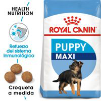 Pack ahorro: Royal Canin para perros 8 a 15 kg - Maxi Junior - 2 x 15 kg en oferta