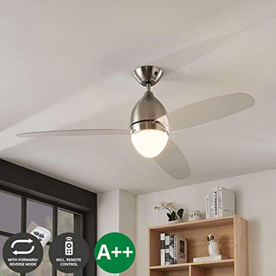 Ventilador de techo Piara con luz, transparente