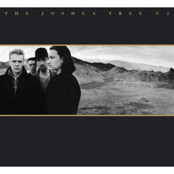 The Joshua Tree (30th Anniversary) (2 LP-Vinilo) precio